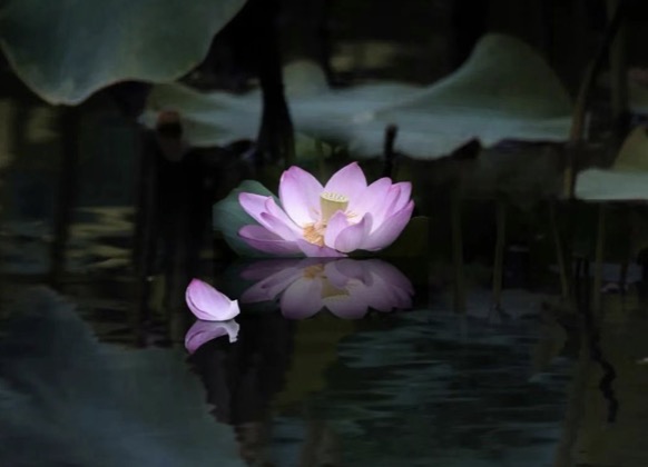 聽歌四個境界:初聞不知個中意,再聞已是此中人