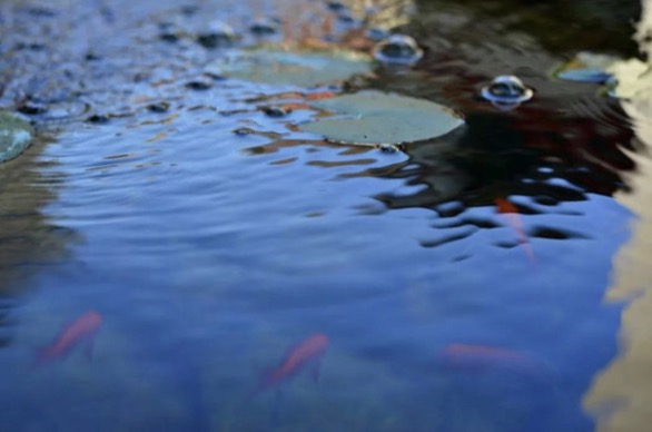 莫笑少年江湖夢