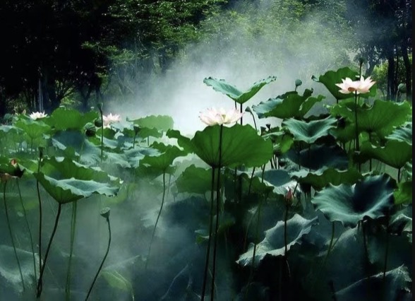 當我們一個指頭指向別人,其它四個卻指向自己