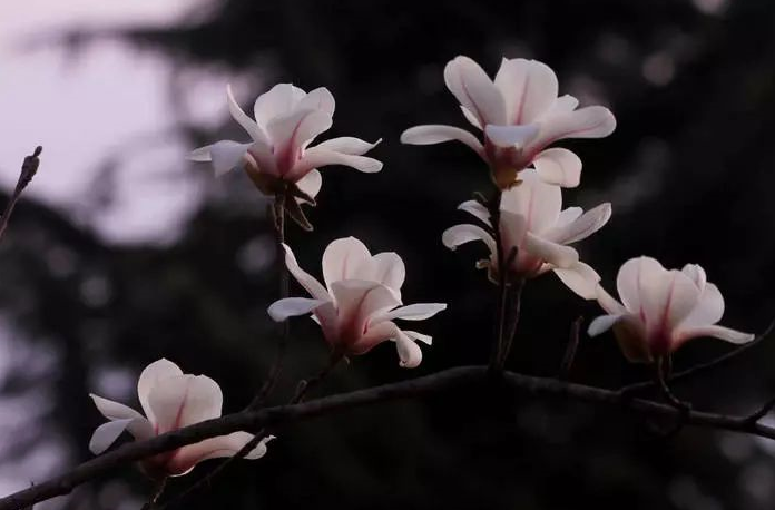 你的行為能夠達到你的目標嗎?