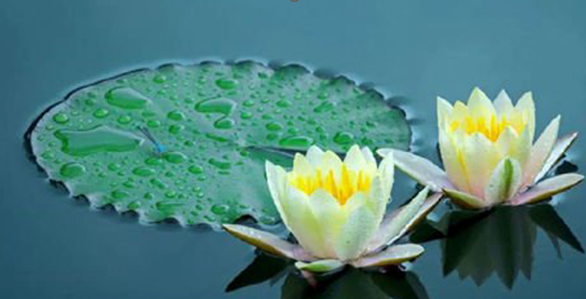 用正見指導行為，快樂其實很簡單！