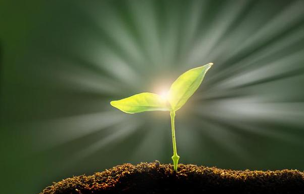 真正的懺悔是改過