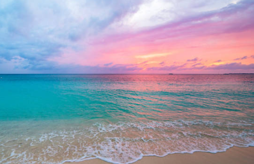 馬斯克的第一性原理給我們的啟示