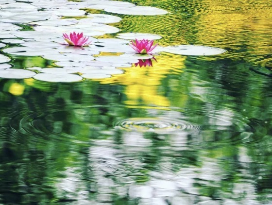 他明明看見了深淵，卻不肯轉身