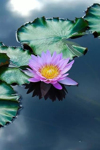 放下是非，放过自己