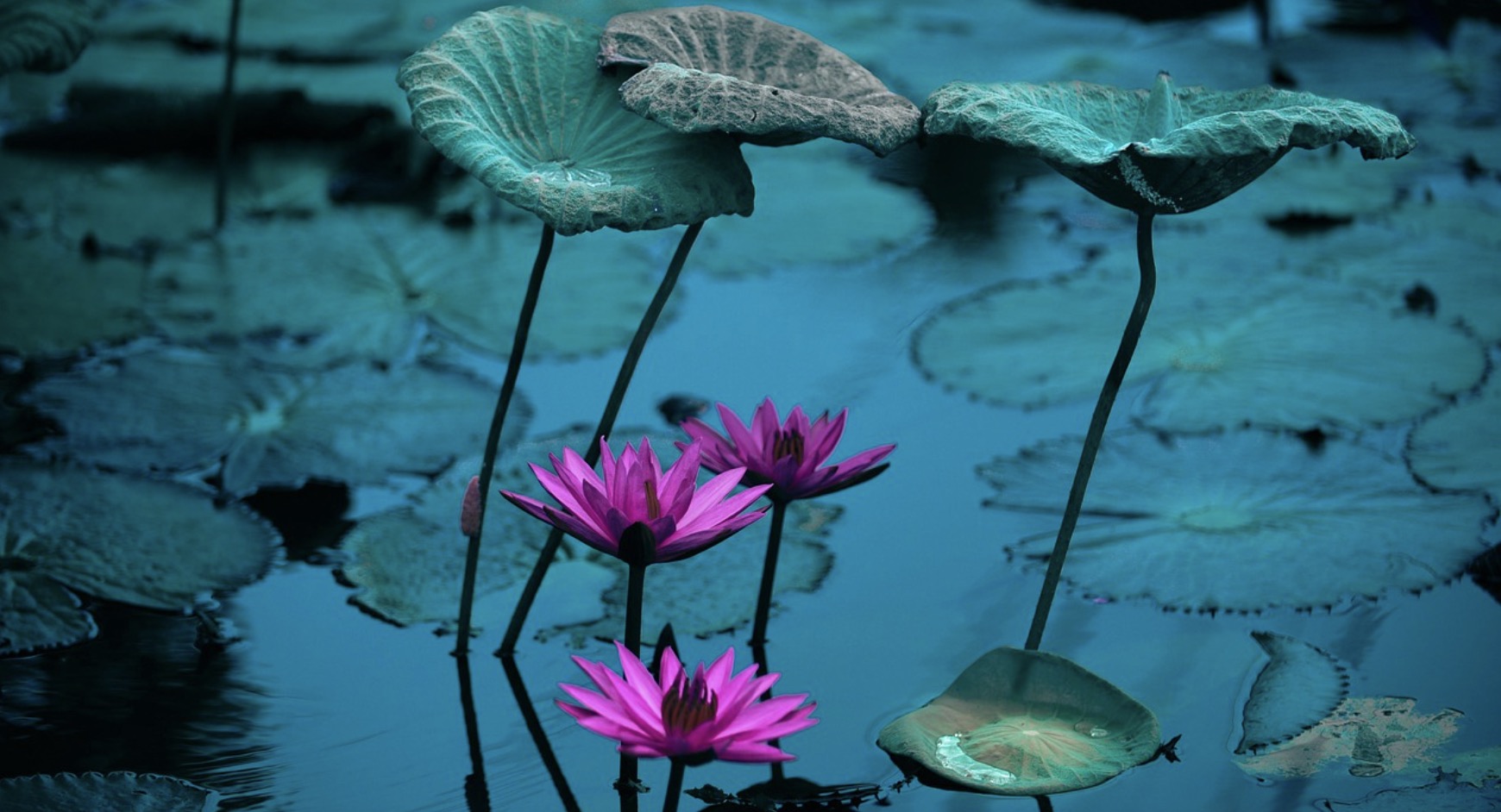 警惕有人把地獄之門描繪成天堂模樣