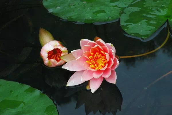 人生處世的“剛剛好”智慧