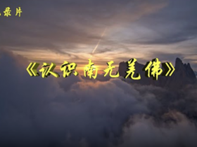 《認識南無羌佛》第八集